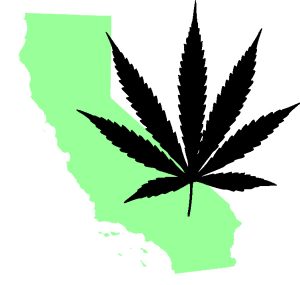 california marijuana driving laws
